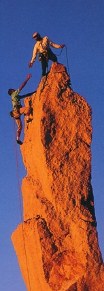 Teamgeist